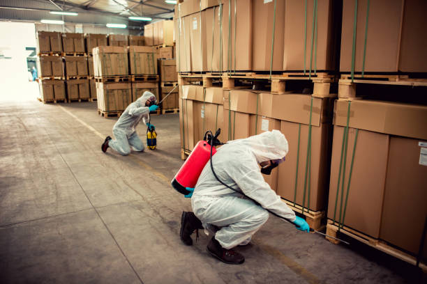 Best Rat Extermination Near Me  in Parkwood, CA