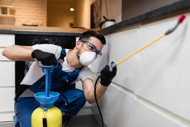 Best Emergency Pest Control  in Parkwood, CA