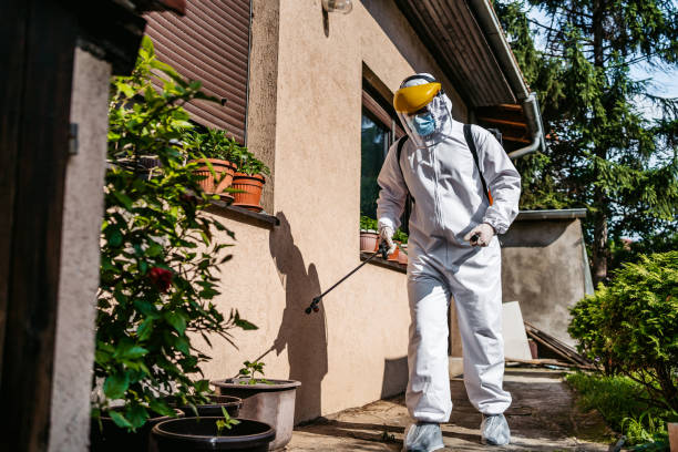 Best Wasp Removal Services  in Parkwood, CA