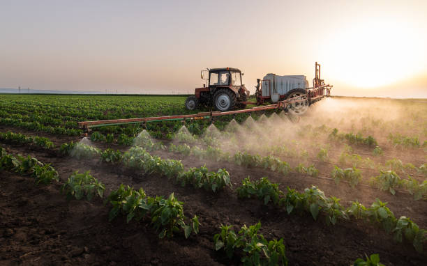 Best Wildlife Control Services  in Parkwood, CA