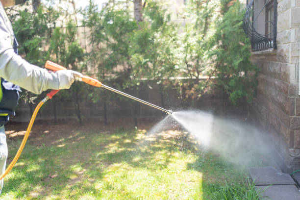 Best Residential Pest Control  in Parkwood, CA