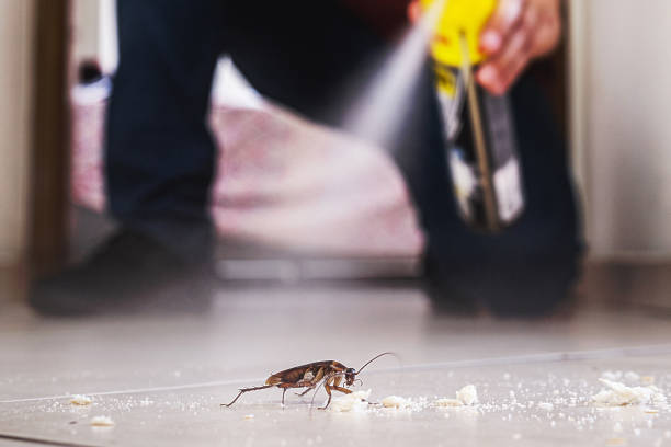 Best Best Pest Control Companies  in Parkwood, CA