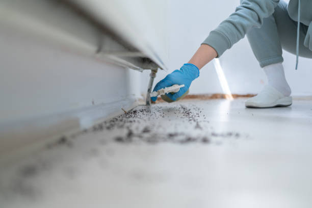 Best Cockroach Control Services  in Parkwood, CA