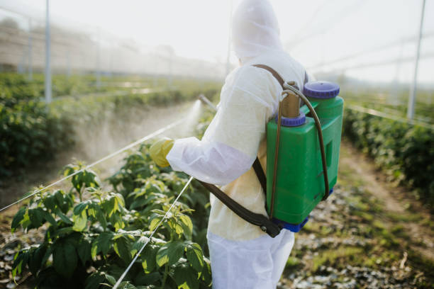 Best Termite Control Services  in Parkwood, CA